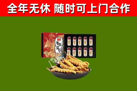 盘锦烟酒回收冬虫夏草礼盒.jpg
